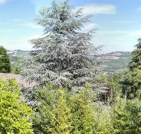 Bed & Breakfast La Panoramica *